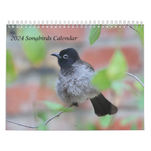 2024 Songbirds Calendar Kalender