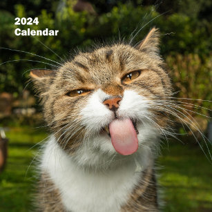 2024 Unglaublich witzig Tiere Personalisiert Kalender