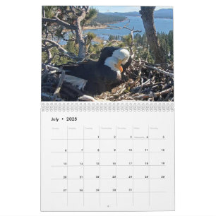 2025-2026 Kalender der Bärenadler