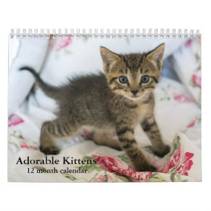 2025 Adorable Kittens Zwölf Monate Katze Kalender