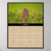 2025 Ausbrechen der Eule-Mauer-Kalender-Poster