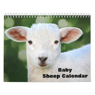 2025 Baby Sheep Lamb Kalender