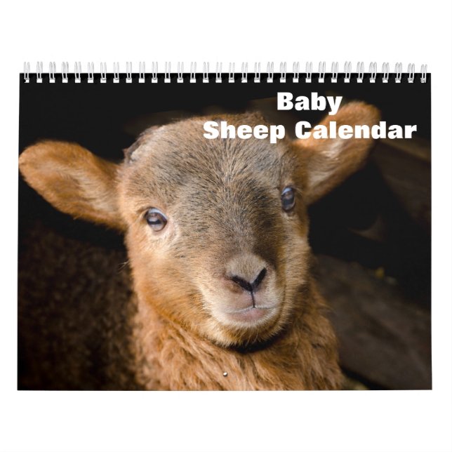 2025 Baby Sheep Lamb Kalender (Titelbild)