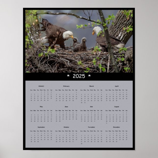 2025 Bald-Adlermauer-Kalender-Poster Poster (Vorne)