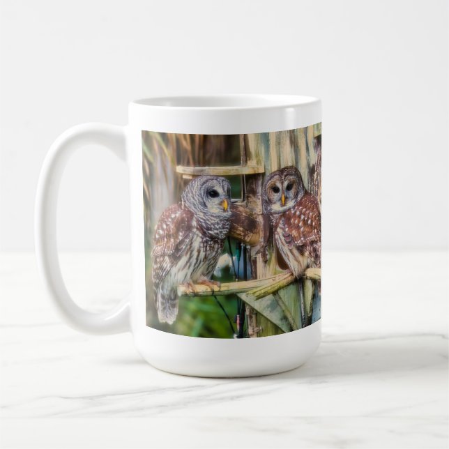 2025_Barred Owl Mug Kaffeetasse (Links)