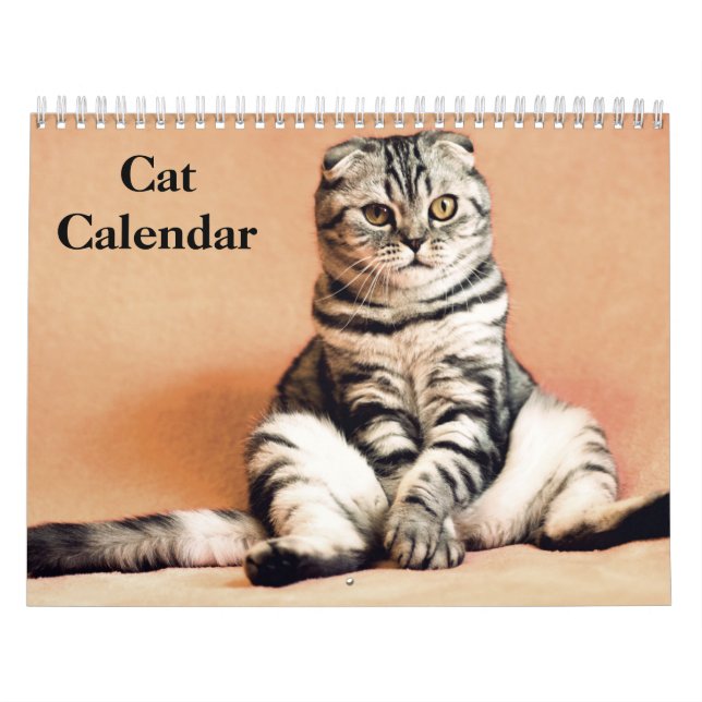2025 Bengalische Katze Kalender (Titelbild)