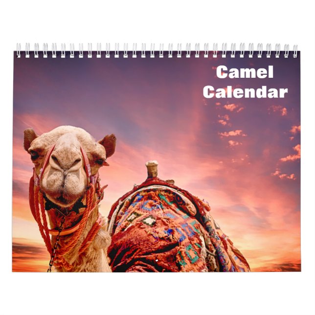 2025 Camel Kalender (Titelbild)