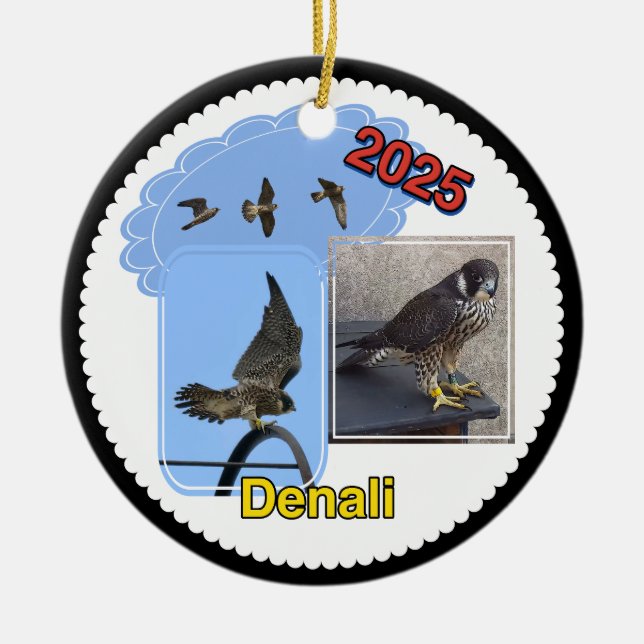 2025 Ceramic Circle Ornament Denali (Vorne)