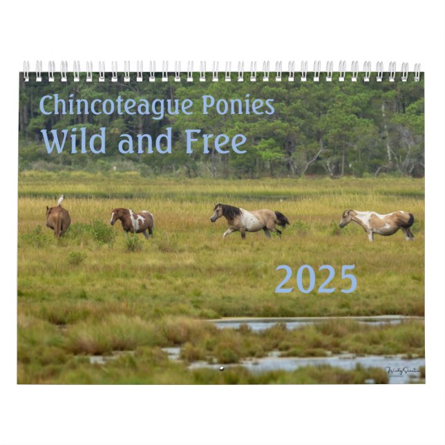 2025 Chincoteague Ponies 18 Month Calendar Kalender (Titelbild)