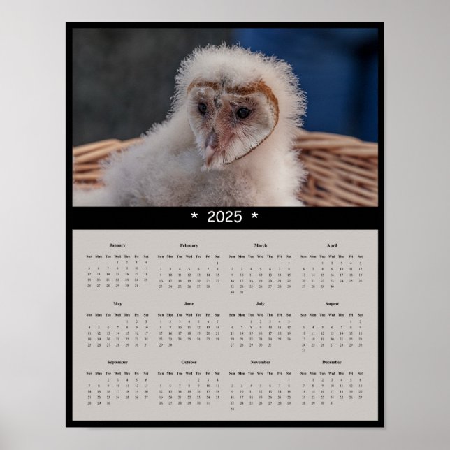 2025 Eintauchen-Mauermauer-Kalender-Poster Poster (Vorne)