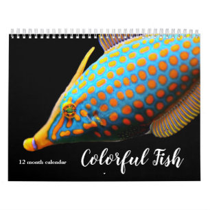 2025 Farbiger Fisch Kalender