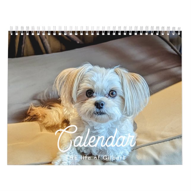 2025 Gilbert-Kalender Kalender (Titelbild)