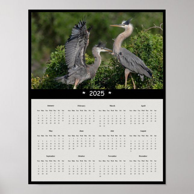 2025 Great Blue Heron Wall Calendar Poster (Vorne)