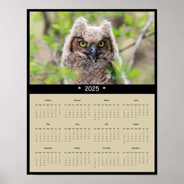 2025 Great Horned Owl Wall Calendar Poster (Vorne)