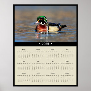 2025 Holzente Drake Wall Calendar Poster
