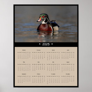 2025 Holzente Drake Wall Calendar Poster