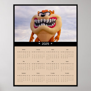 2025 Hot Air Ballon Wall Calendar Poster