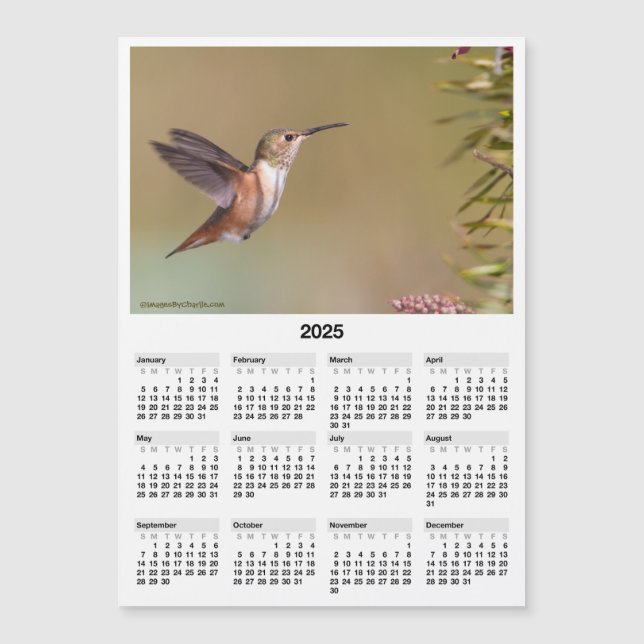 2025 Hummingbird 12x18" Magnetic Mini Calendar Magnetkarte (Vorderseite)