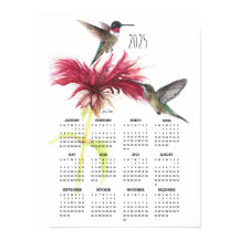2025 Hummingbird Couple