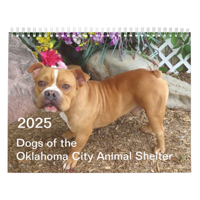 2025 Hunde des Tierschutzhauses Oklahoma City Kalender (Titelbild)