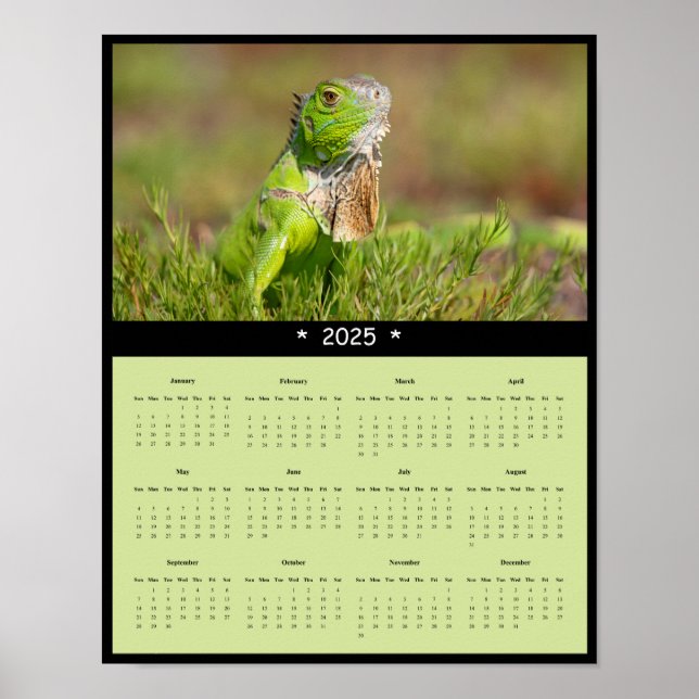 2025 Iguana Wall Calendar Poster (Vorne)