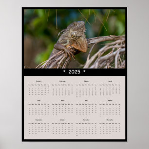2025 Iguana Wall Calendar Poster