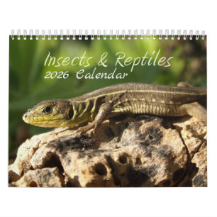 2025 Insekten- und Reptilienkalender Kalender