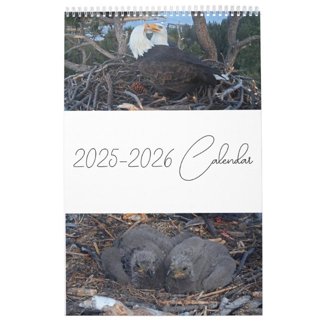 2025 Jackie & Shadow - Big Bären Eagles Kalender 2 (Titelbild)