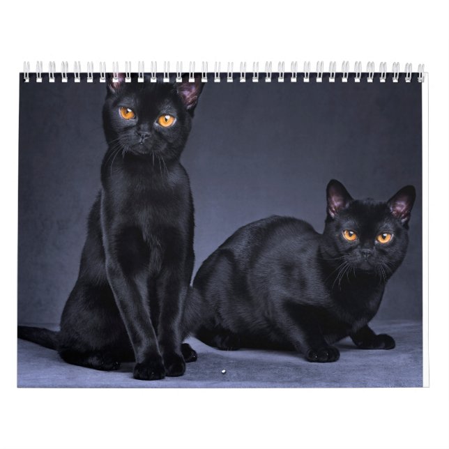 2025 KALENDER (Titelbild)