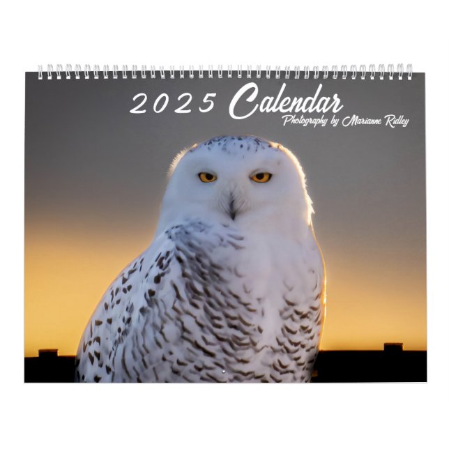 2025 Kalender der wild lebenden Tiere und Pflanzen (Titelbild)