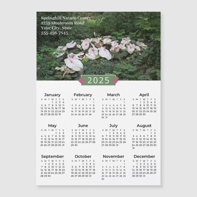 2025 Kalender Kalender Kalender Fotografie Promo M Magnetkarte (Vorderseite)