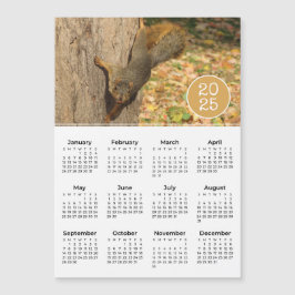 2025 Kalender Niedliches Eichhörnchen Foto Magnet
