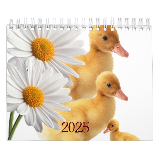 2025 Kalenderenten Enten Daisy Floral Kalender (Titelbild)