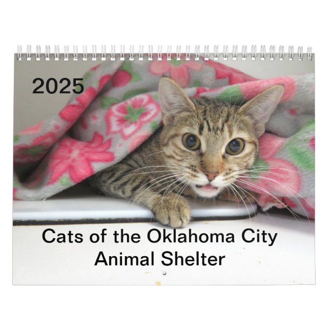 2025 Katzen des Tierschutzhelters in Oklahoma City Kalender (Titelbild)