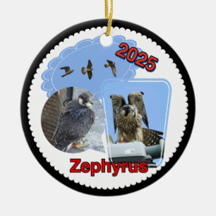 2025 Keramik-Kreis-Ornament Zephyrus Keramik Ornament