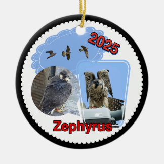 2025 Keramik-Kreis-Ornament Zephyrus Keramik Ornament