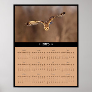 2025 Kurz-Eared Owl Wall Calendar Poster