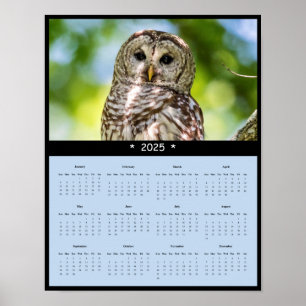 2025 Leseraucht-Mauer-Kalender-Poster Poster