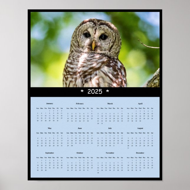 2025 Leseraucht-Mauer-Kalender-Poster Poster (Vorne)