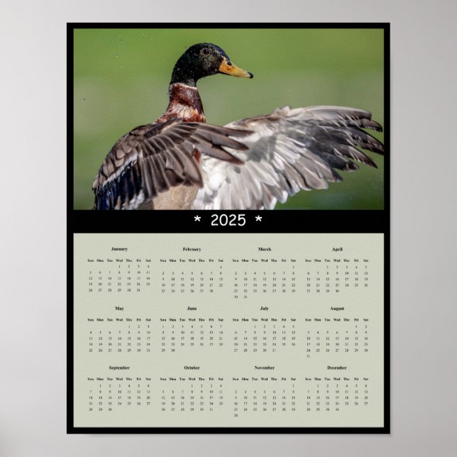 2025 Mallard Duck Wall Calendar Poster (Vorne)
