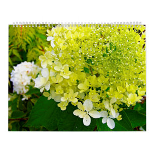 2025 Mein Rubio Garden Elegant Hydrangeas Kalender