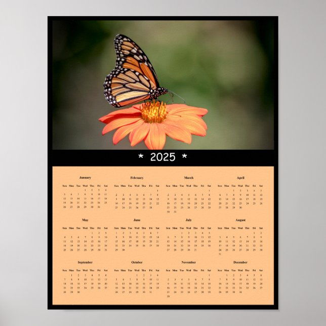 2025 Monarch Butterfly Wall Calendar Poster (Vorne)