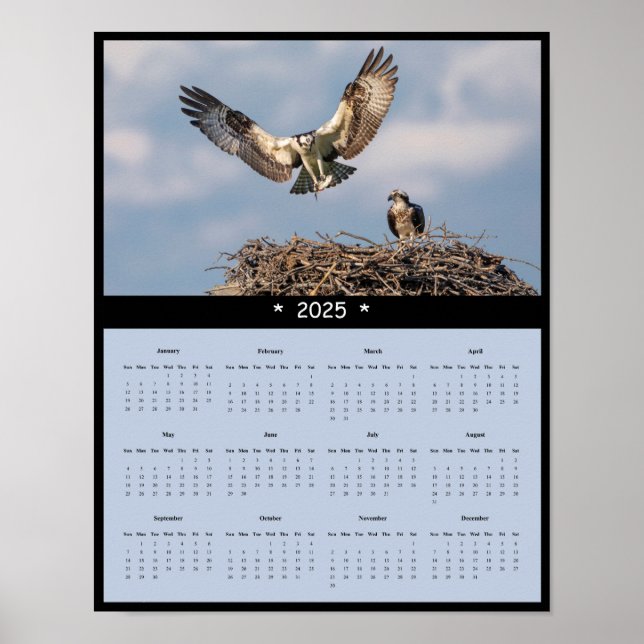 2025 Osprey Wall Calendar Poster (Vorne)
