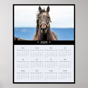 2025 Pferdewall-Kalender-Poster Poster
