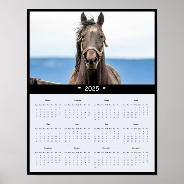 2025 Pferdewall-Kalender-Poster Poster (Vorne)