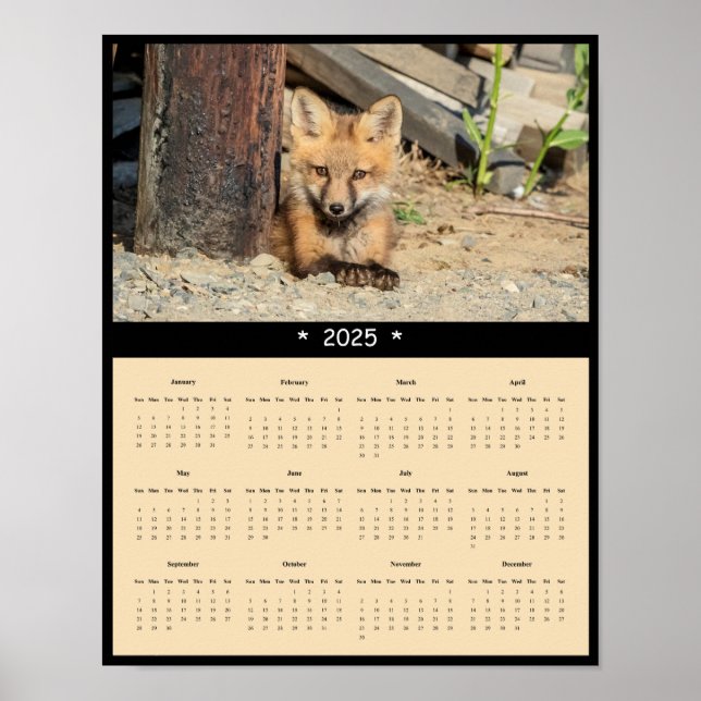 2025 Red Fox Kit Wall Calendar Poster (Vorne)