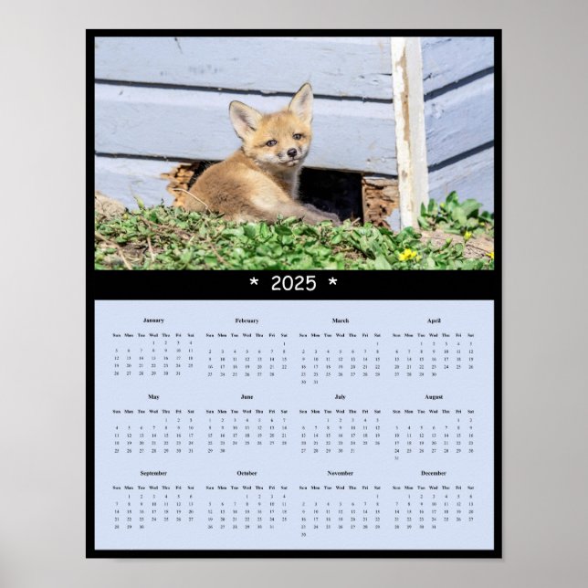 2025 Red Fox Kit Wall Calendar Poster (Vorne)