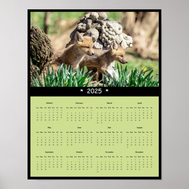 2025 Red Fox Kits Wall Calendar Poster (Vorne)