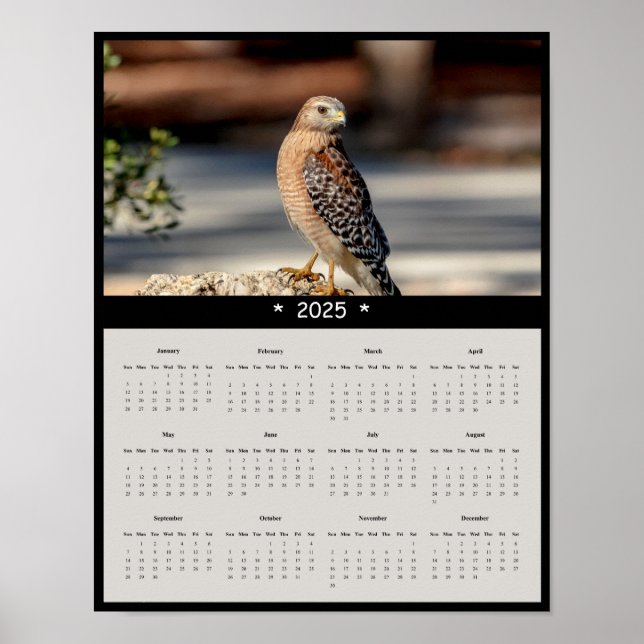 2025 Red Shoulded Hawk Wall Calendar Poster (Vorne)
