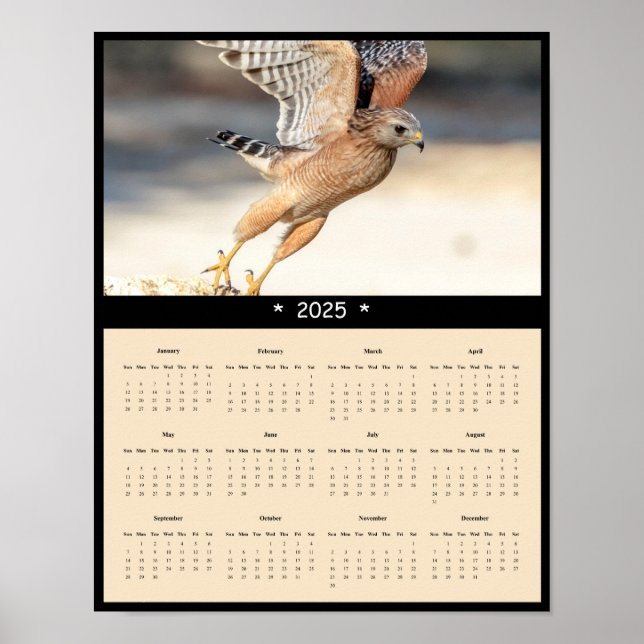 2025 Red Shoulded Hawk Wall Calendar Poster (Vorne)